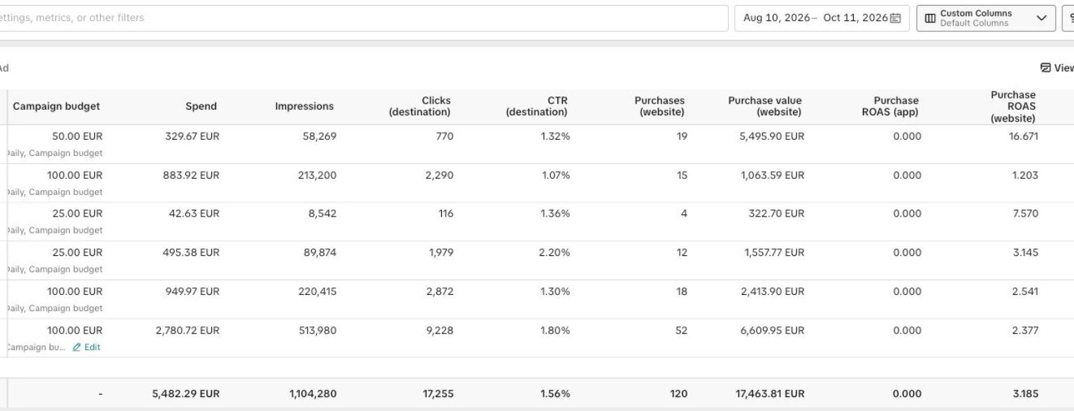 TikTok campaign report 1