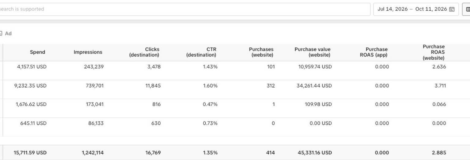 TikTok campaign report 3