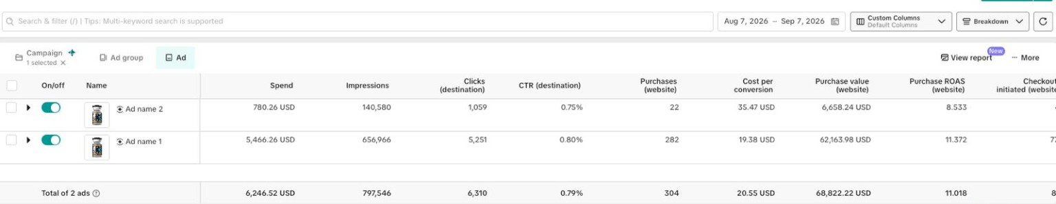 TikTok campaign report 4