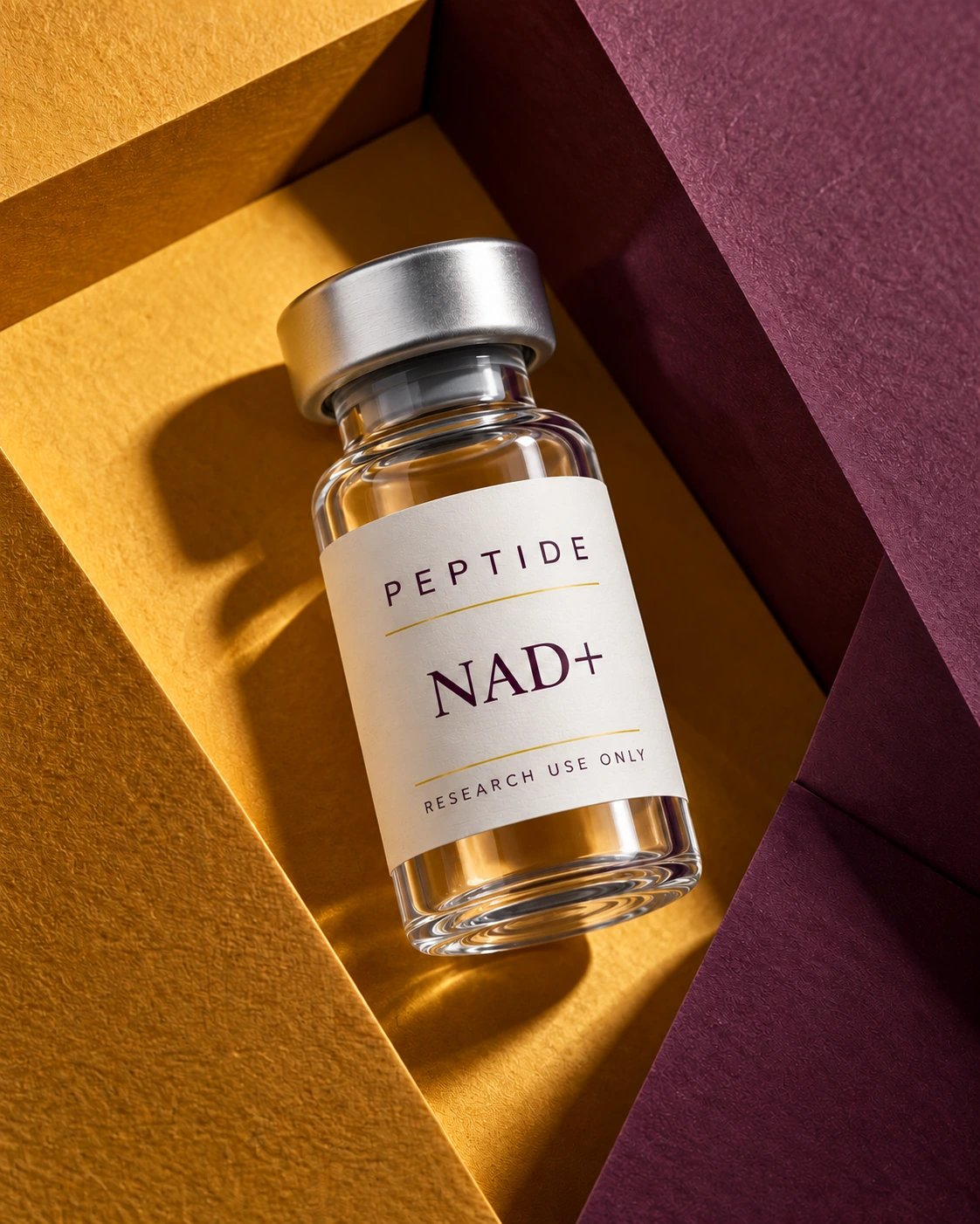 NAD+ / Paper Architecture
